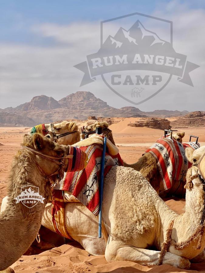 Rum Angel Camp ワディ ・ラム エクステリア 写真